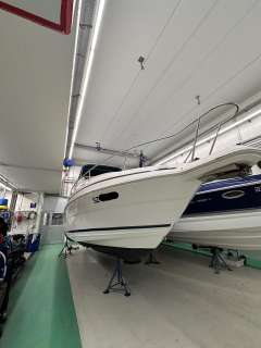 Wellcraft Excel 260 SE Sportboot