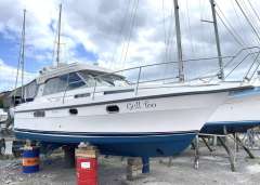 Nimbus 310 Coupe Yate a motor