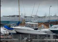 Luhrs 290 Tournament &ndash; 2x Yanmar Diesel Fischerboot