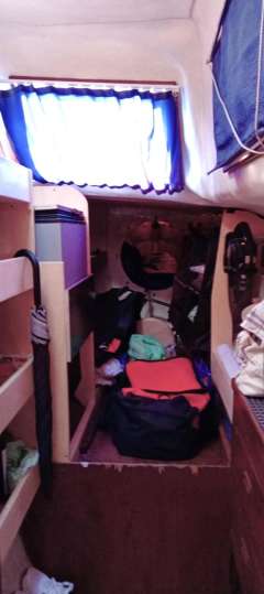 Prout Snowgoose 37