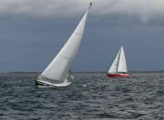 Southerly 95