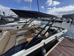 Sea Ray SDX 290