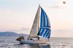 Viko S30 Yelkenli yat