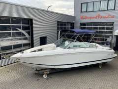 Cobalt 252 Sportboot
