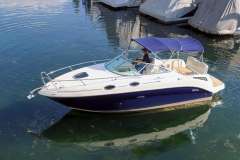 Sea Ray 255 Sundancer Kajütboot