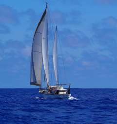 Amel 54 Blauwasseryacht