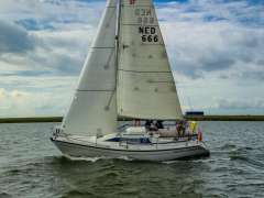 Dehler 31 Top Yelkenli yat