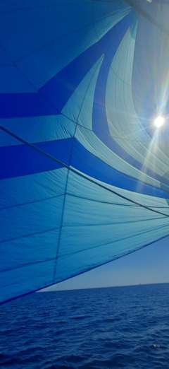 Beaconax Yachtbau GmbH Bluestorm 750