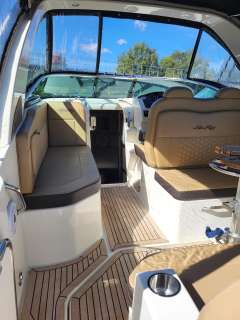 Sea Ray 265