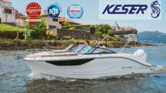 Bayliner C21 OUTBOARD Sportsbåd