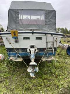 Fjord Ancas Queen 24