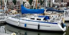 Northern Comfort 43 Jedrilica