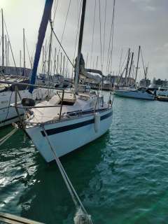 Furia 33 Velero crucero