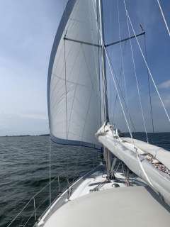 Bavaria 37 Cruiser  1 Hand