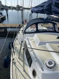 Seal 28