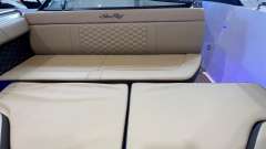 Sea Ray SDX250E & Trailer  (1. Hand)