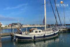 Danish Rose 42
