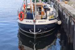 Danish Rose 42