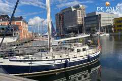 Danish Rose 42