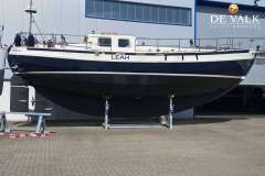 Danish Rose 42