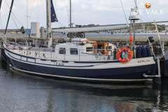Danish Rose 42