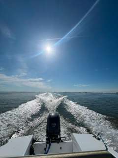 Glastron V174 Sportboot Motorboot