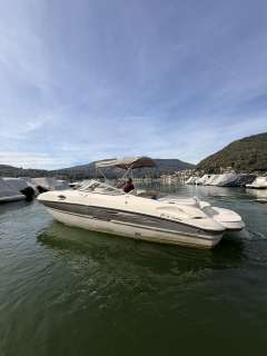 Stingray 235 DR Bowrider