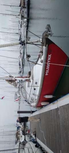 Contest 33, Shipyard Complex Holland Sailing yacht
