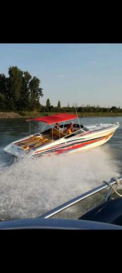 Formula 382 Fastech