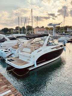 Bayliner Ciera 8