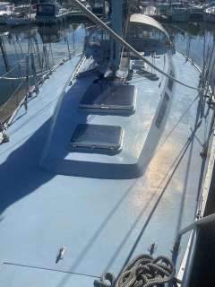 Hallig 32