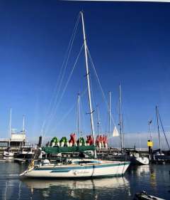 Dehler dB 1 Regattaboot