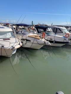 Scarani 24 Cabinato