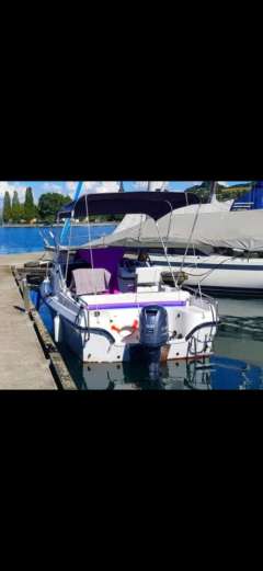 American Pilot 4.99 &ndash; Yamaha 50 PS &ndash; Tra Sportboot