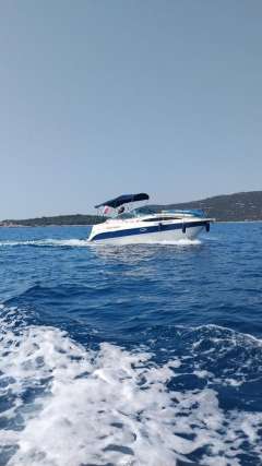 Bayliner 245 SB