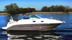 Sea Ray 255 DAE Yacht à moteur