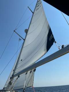 Bavaria 37