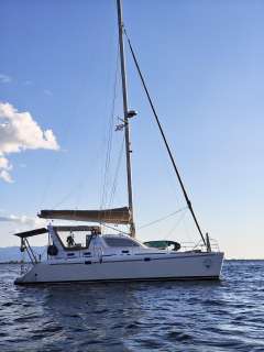 Leopard 38
