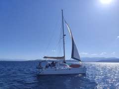 Leopard 38