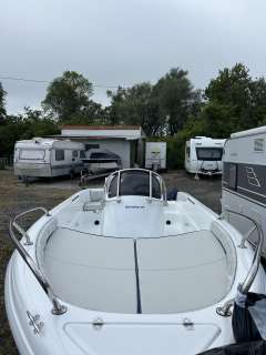 Ranieri Shark 17