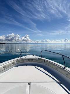 Ranieri Shark 17