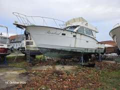 Trojan 44
