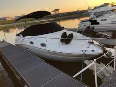 Sea Ray Sundancer 245