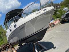Sea Ray Sundancer 245