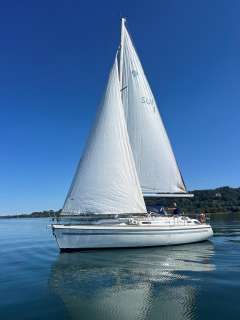 Sunbeam 37 Segelyacht