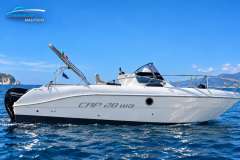 Capelli 28 WA Deck Boat