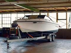 Thunderbird FORMULA 20