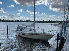 Bianca Commander 31