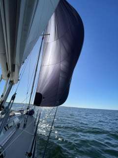 Hanse 331