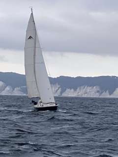 Hanse 331